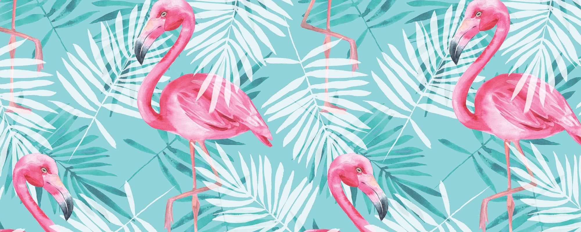 Flamingos